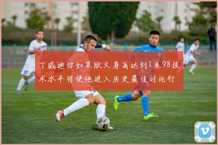 丁威迪称如果欧文身高达到1米98技术水平将使他进入历史最佳讨论行列